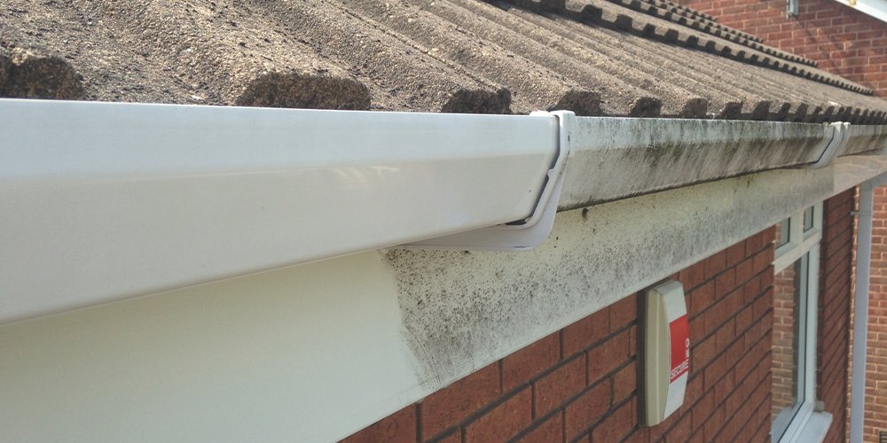 Fascia Board Cleaning Services